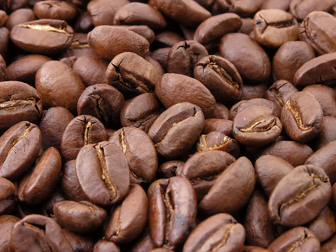 Koraput, Odisha Washed Coffee